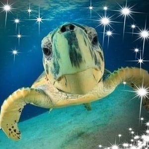 Meet your Posher, Kaye